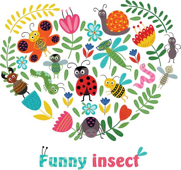 heart funny insect and plants heart funny insect and plants - vector illustration, eps spider on flower stock illustrations