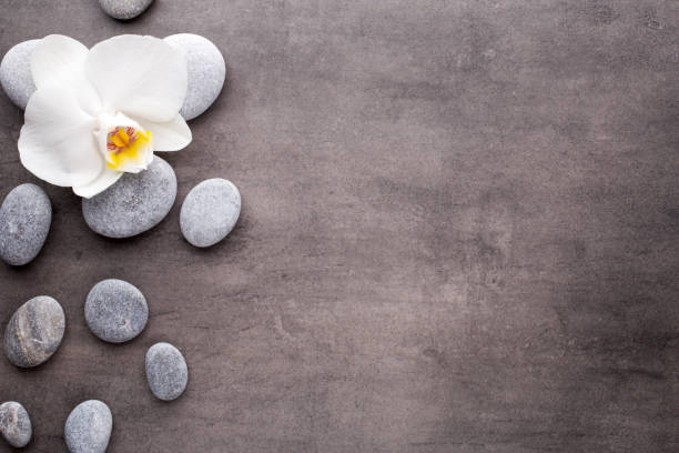 istock White orchid and spa stones on the grey background. 700630188