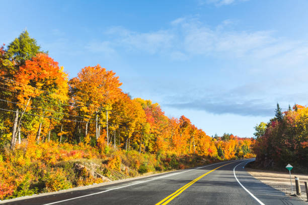 istock American highway through the wood in autumn 700634098