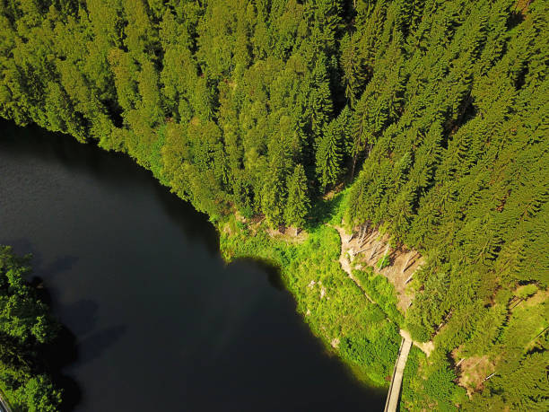 istock Small Dam in the Harz National Park 700637176