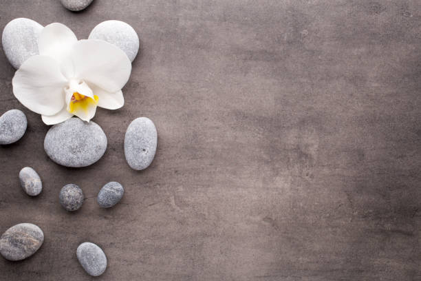 istock White orchid and spa stones on the grey background. 700637602