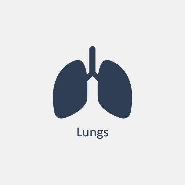 ilustraciones, imágenes clip art, dibujos animados e iconos de stock de icono de los pulmones. ilustración de vector - pulmón