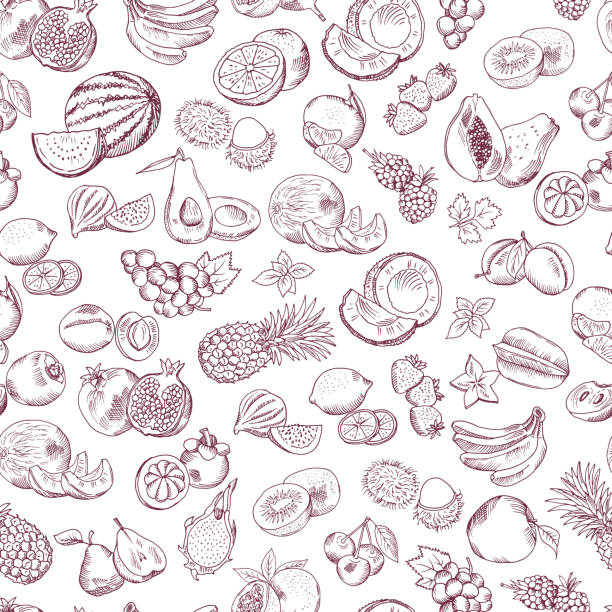 Vector seamless pattern of doodle fruits on white background Vector seamless pattern of doodle fruits on white background. Background with drawing natural sweet fruits illustration mango fruit drawing stock illustrations