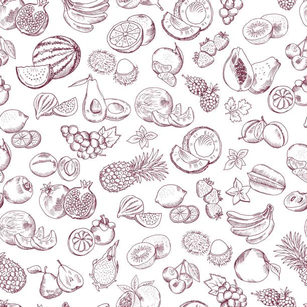 Vector illustration of Vector seamless pattern of doodle fruits on white background