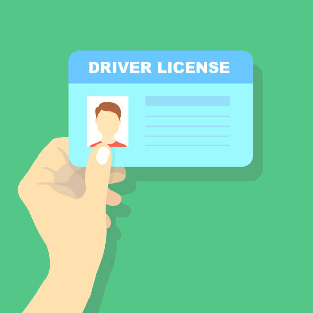 Hand holding car driving licence, id card illustration Hand holding car driving licence, id card vector illustration playing card photos stock illustrations