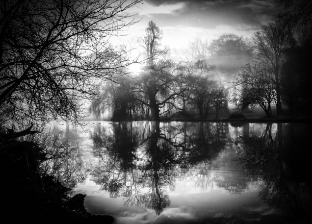 istock In The Lake - Syon House Gardens 700644604