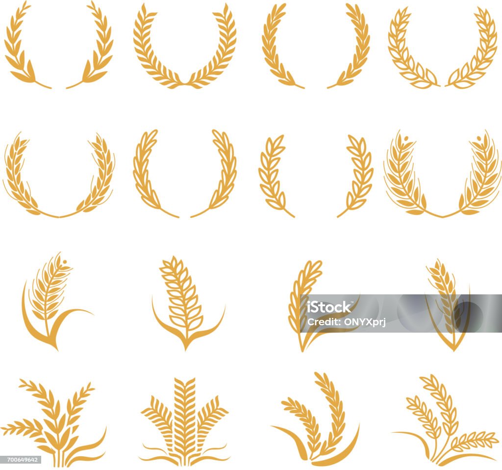 Silueta de trigo. Símbolos de vector de maíz aislados en blanco - arte vectorial de Espiga de trigo libre de derechos