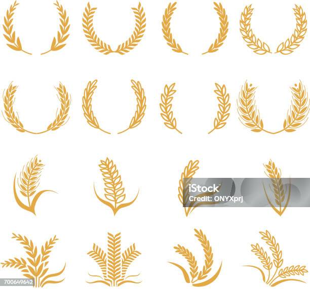 Silhouette Of Wheat Corn Vector Symbols Isolated On White Stock Illustration - Download Image Now