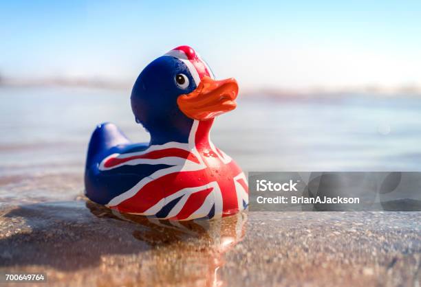 British Flag Rubber Duck In The Sea Stock Photo - Download Image Now - British Flag, Brexit, Beach