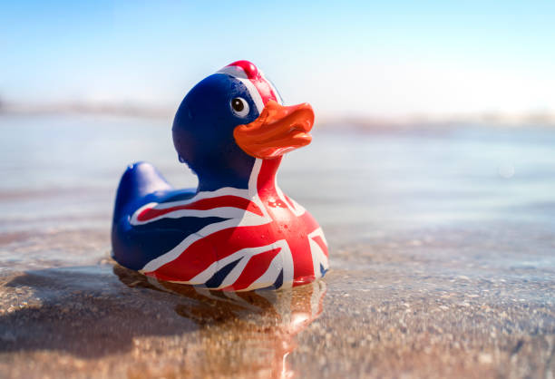 британский флаг резиновой утки в море - eurozone debt crisis стоковые фото и изображения