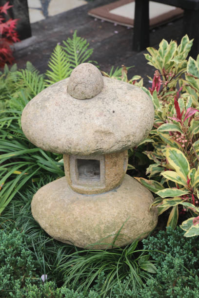 istock peaceful zen rock garden with papyrus plant 700649792
