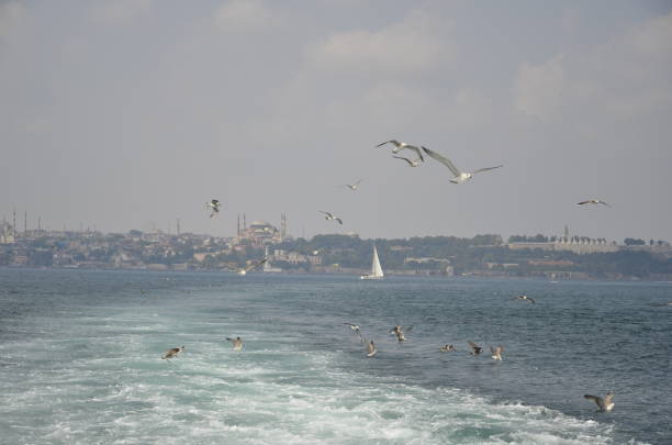 istock Turkey landscape 700658252