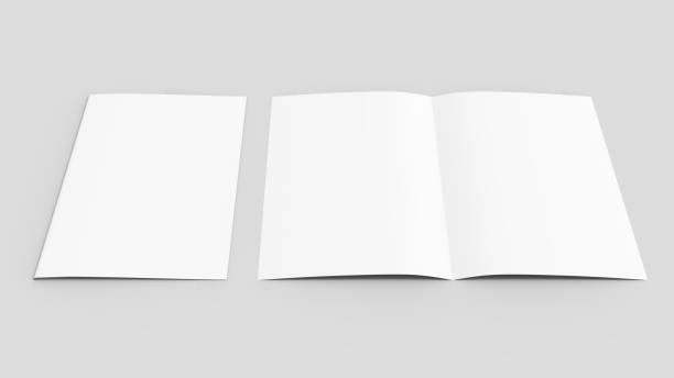 istock Bi fold brochure mock up isolated on soft gray background. 3D illustrating. 700702300