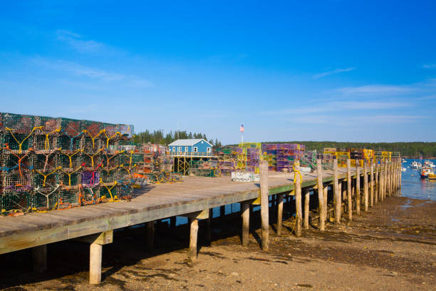 istock Crab farm and crab cages on Saint George Peninsula 700713324