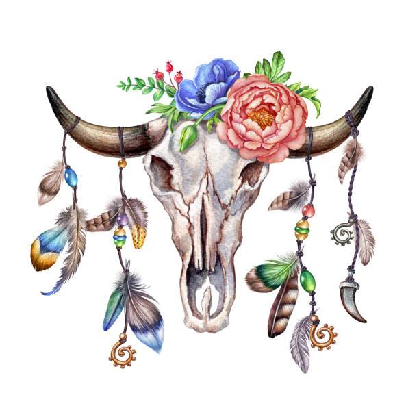 istock watercolor illustration, rustic cow skull, flowers and feathers, floral clip art, bouquet, boho design, isolated on white background 700719012