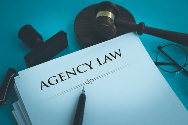 istock AGENCY LAW CONCEPT 700719520
