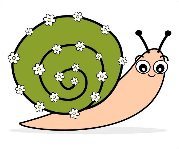 Vector illustration of cute cartoon snail with daisy flowers isolated on white background vector illustration