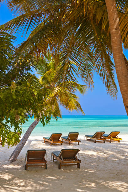 istock Loungers on Maldives beach 700728904