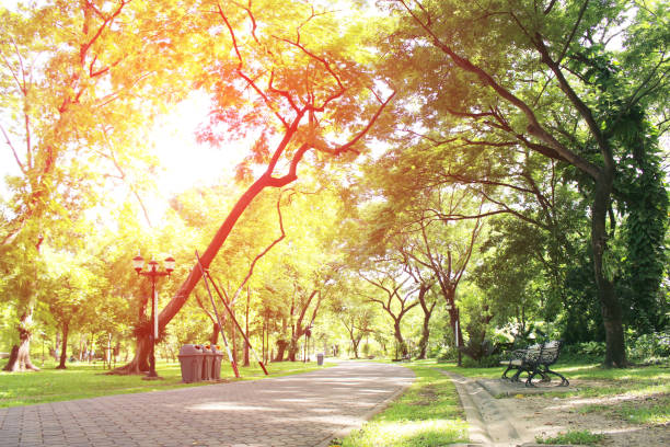 istock Stone Pathway in the Green Park with burst light 700742418