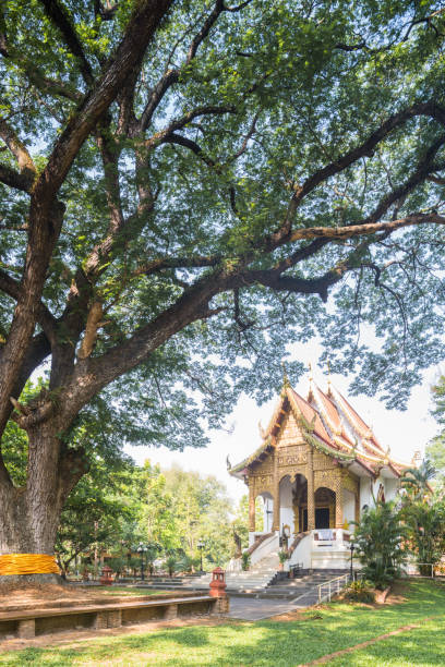 Templo de Wat Jed Yod em Chiang Mai, Tailândia do Norte - foto de acervo