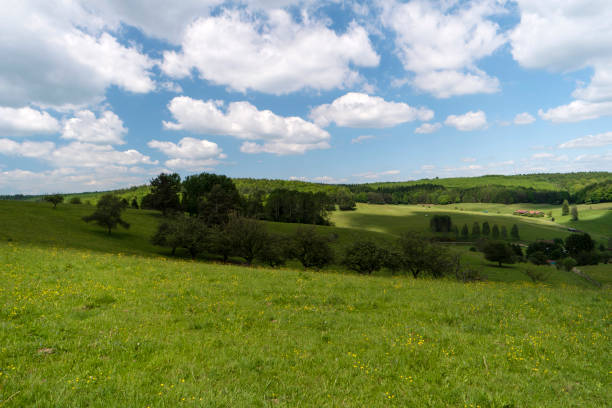 istock On the Hiking Trail Spessartweg in Germany 700763594