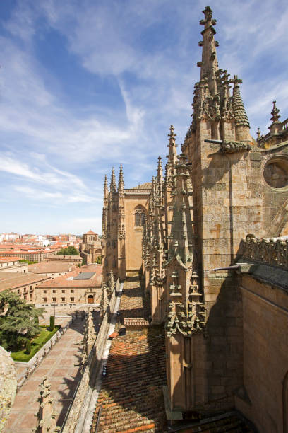istock Old Cathedral of Salamanca, Spain 700763944
