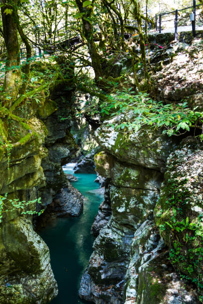 istock Martvil Canyon, Georgia, Kutaisi. River, lakes, waterfalls. 700764680