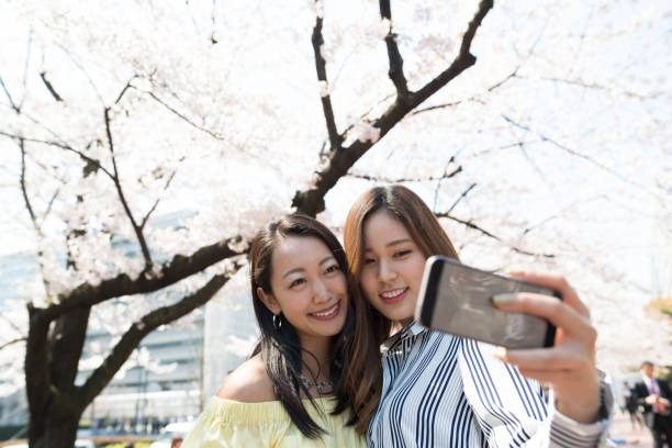 istock Women who take a photo in front of a cherry tree 700769770