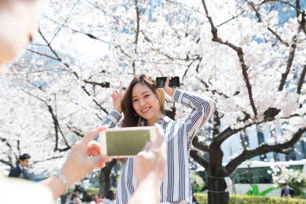 istock Women who take a photo in front of a cherry tree 700769782
