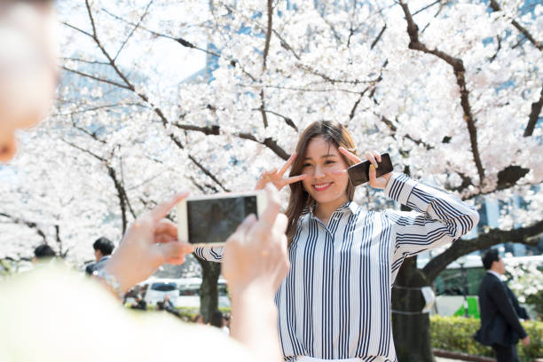istock Women who take a photo in front of a cherry tree 700769792