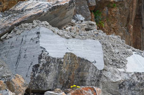 istock detail of black marble called portoro 700770356