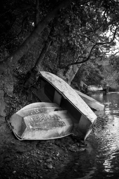 istock Old rowboats abandoned on shore 700777430