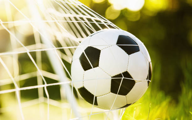 istock Soccer ball in goal 700811050