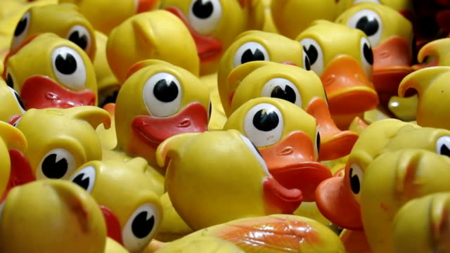 Yellow rubber ducks floating