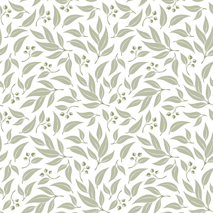 Seamless pattern branches of eucalyptus. Vector illustration.Green floral background