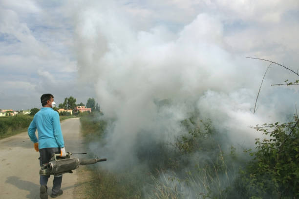 istock Thermal Fog application against to the pest 700820938
