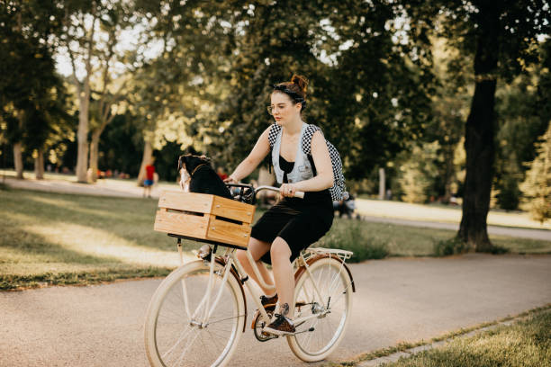 istock Doggy, let's go for a ride. 700822214