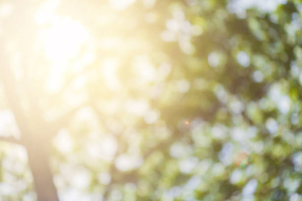 istock abstract  bokeh background ,Lights blurred out focus 700825102