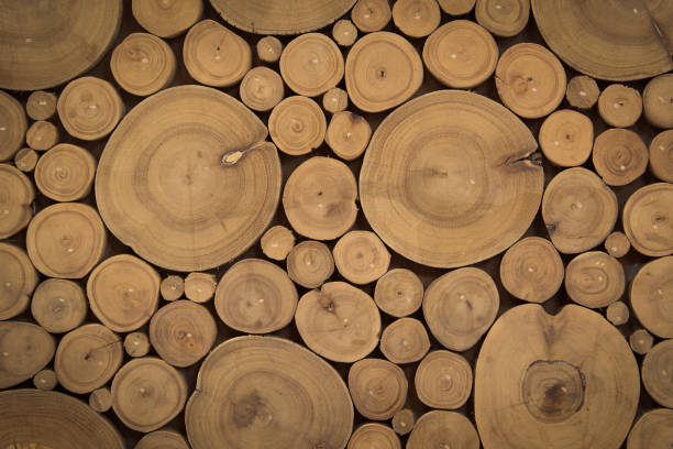 istock Wooden log cross section for background and texture 700825208