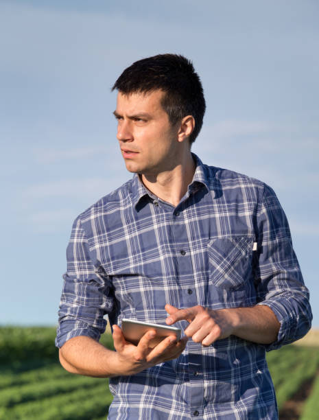 istock Farmer in soybean field with tablet 700830974