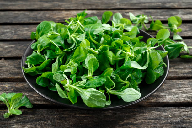 istock Fresh lamb lettuce corn salad in a black plate on wooden rustic table. 700830996