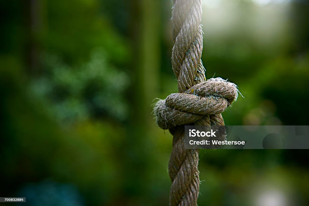 Tied Knot On Thick Rope For Climbing Stock Photo - Download Image Now - Rope,  Tied Knot, Thick - iStock