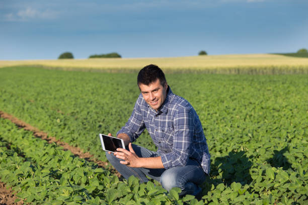 istock Farmer in soybean field with tablet 700833098