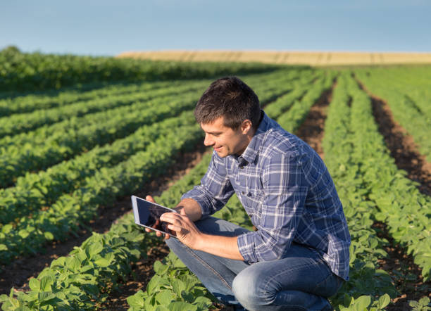 istock Farmer in soybean field with tablet 700833222
