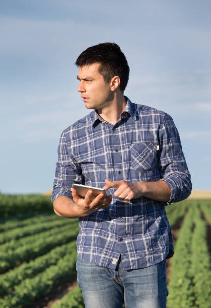 istock Farmer in soybean field with tablet 700833312