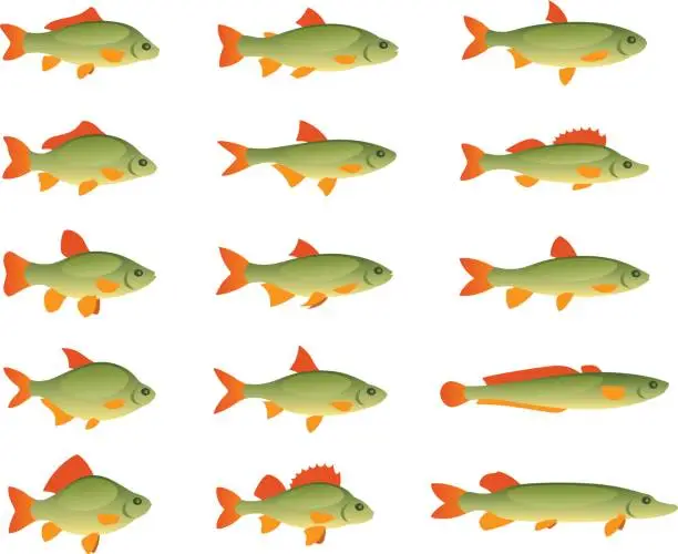 Vector illustration of Set of various fish