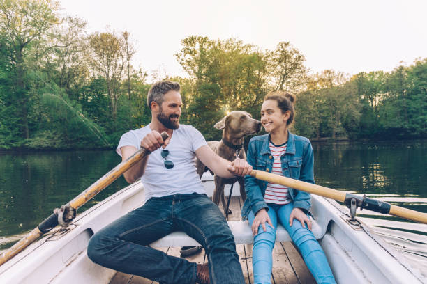 happy father sculling row boat with teenage daughter and dog father sculling row boat with teenage daughter and Weimaraner dog at sunset weimaraner dog animal domestic animals stock pictures, royalty-free photos & images