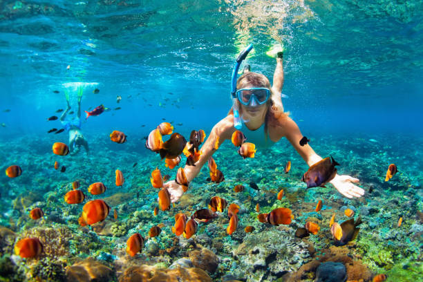Happy couple snorkeling underwater over coral reef Happy family - couple in snorkeling masks dive deep underwater with tropical fishes in coral reef sea pool. Travel lifestyle, outdoor water sport adventure, swimming lessons on summer beach holiday underwater diving stock pictures, royalty-free photos & images