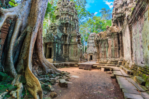 raíces histórica del templo de camboya antigua señal antigua ciudad antigua puerta piedra y árbol, ruinas del templo de ta prohm, angkor, camboya - part of buddha fotografías e imágenes de stock