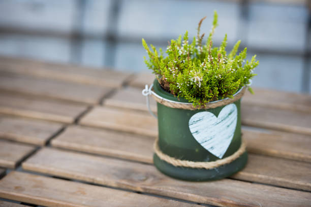 Green small pot with flowers and heart on the table in an outdoor cafe